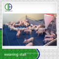 Livestock Equipment Weaning Stall Pig Pen Piglet Livestock